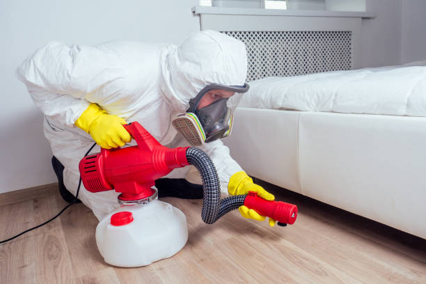 Professional Pest control in Aliceville, AL